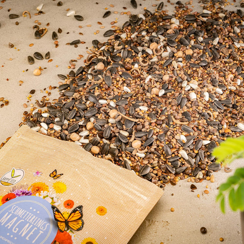 200G Schmetterlingswiese Samen Für Eine Bunte Blumenwiese - Farbenfrohe & Nektarreiche Wildblumensamen Mischung Für Schmetterlinge