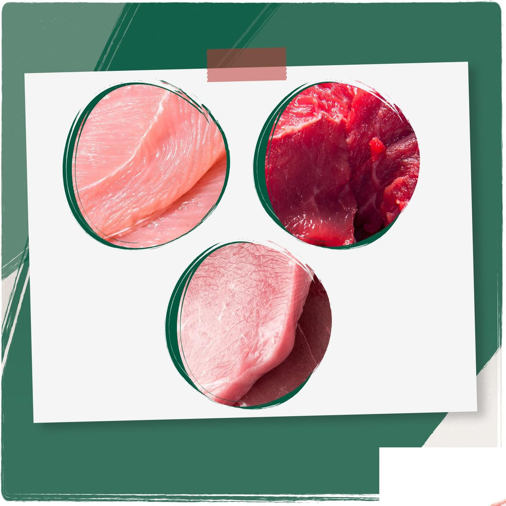 Venandi Animal Premium Nassfutter für Katzen, Probierpaket II, Huhn + Kaninchen, Kalb, Truthahn, 6 x 400 g, getreidefrei und naturbelassen, 2.4 kg