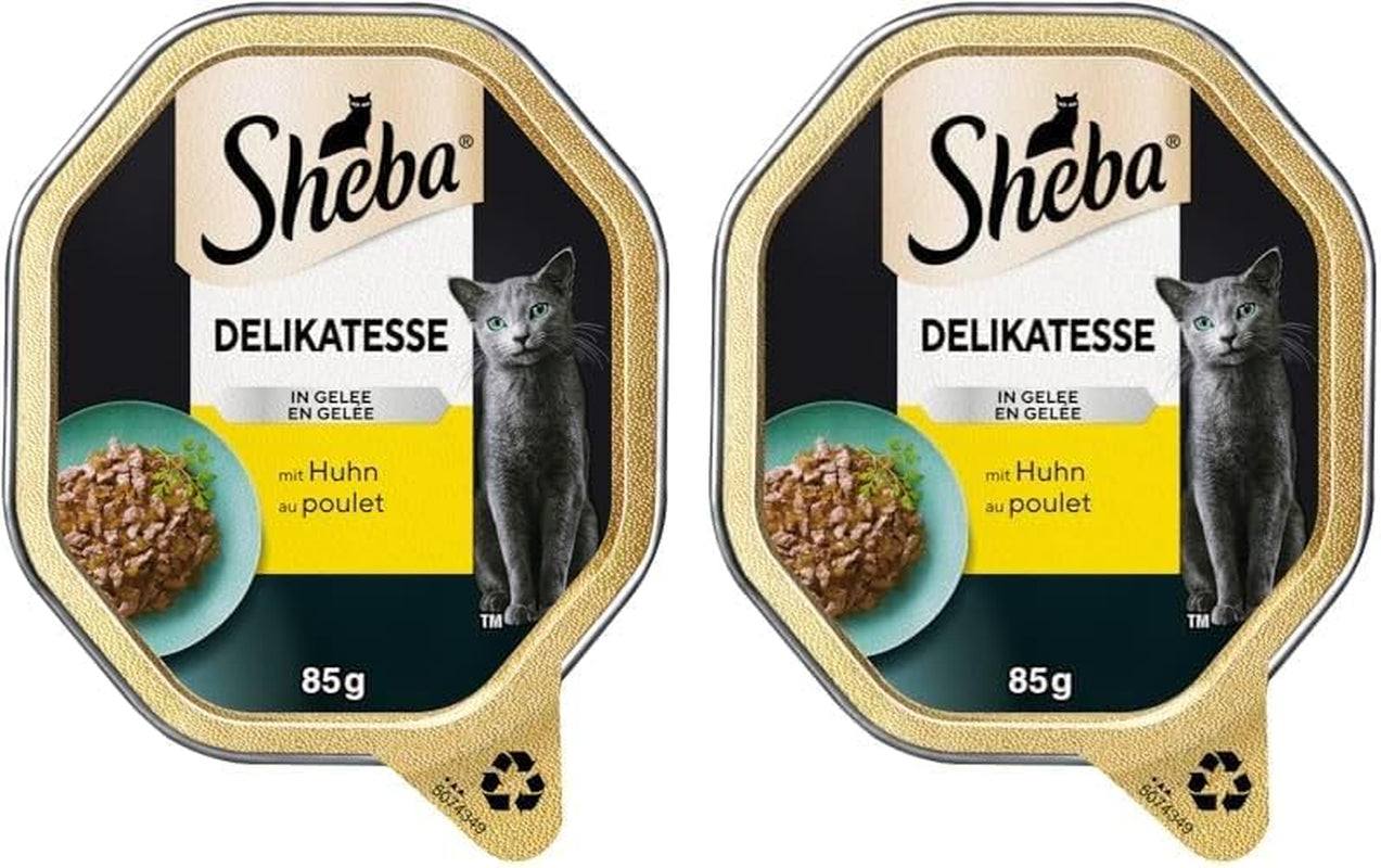 Sheba Bowl Hrană umedă pentru pisici Delicacy în jeleu cu pui 2 X 11 X 85G