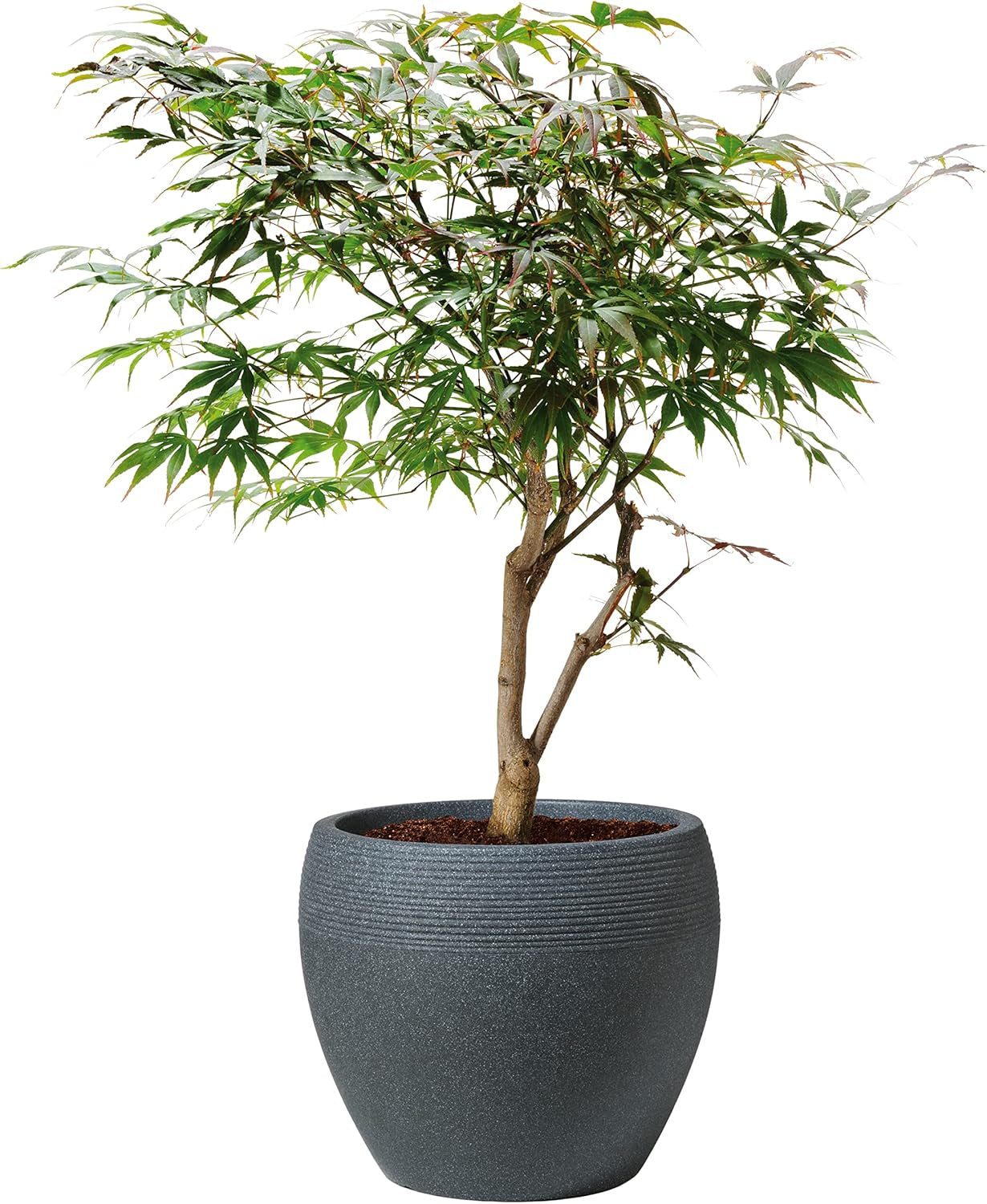 Scheurich Lineo, ghiveci din plastic, granit negru, diametru 30 cm, înălțime 24,1 cm, volum 11 l.