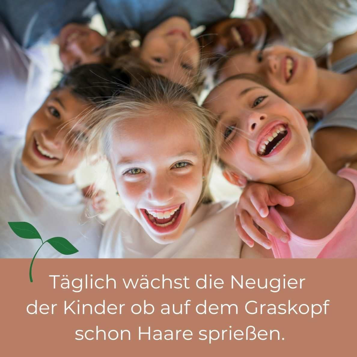 Bada Bing Graskopf 4er készlet incl. Wasserbehälter Waldtiere DIY Tiere – Rasenkopf Tierkopf mit Rasensamen – Experiment für Kinder – Spaß mit Lerneffekt – Geschenk Mitbringsel Kindergeburtstag Mitgebsel