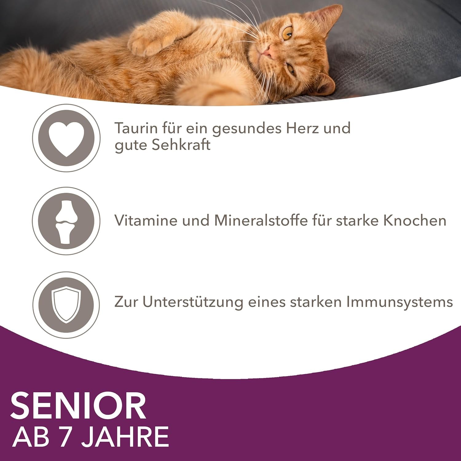 IAMS Delights Hrană umedă pentru pisici senior - Pachet multiplu cu pui și pește în sos, hrană umedă de înaltă calitate pentru pisici mai în vârstă de la 7 ani, 12 x 85 g