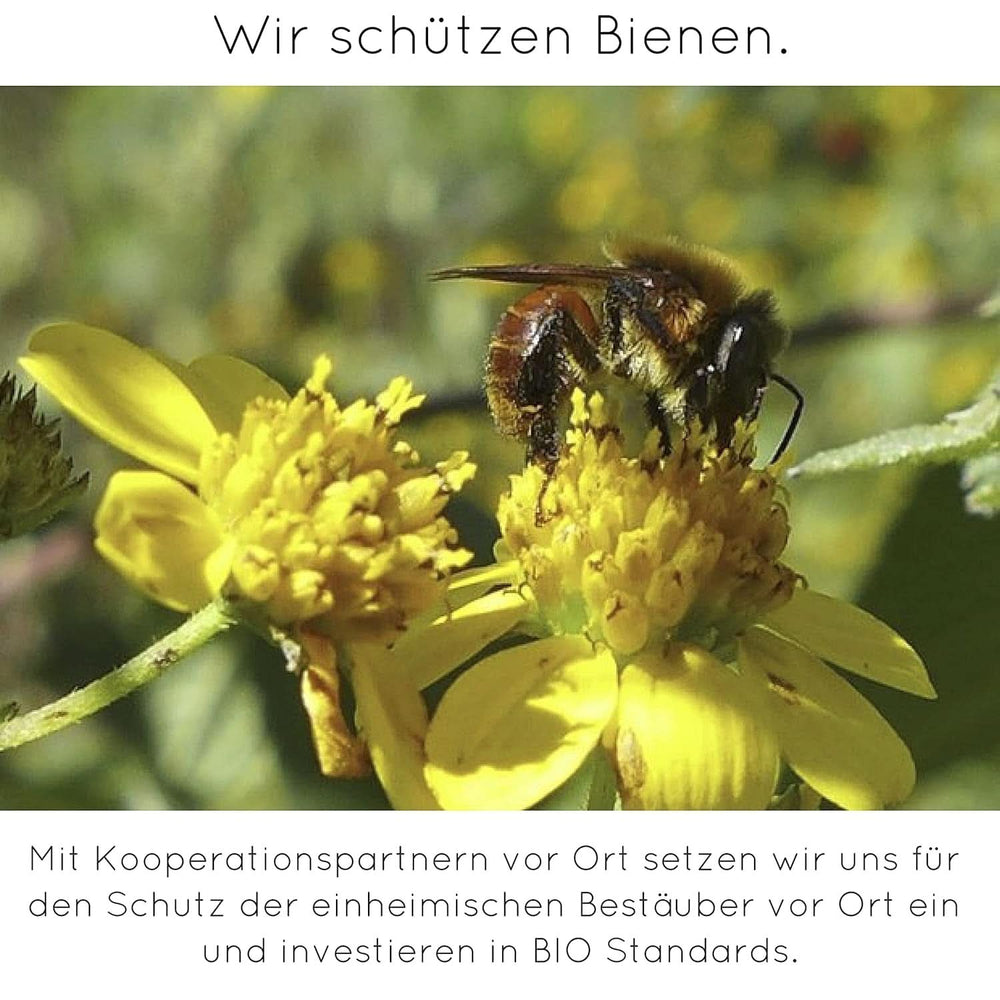 Prémium vaníliapor valódi vaníliababból, természetes, cukormentes, adalékanyagok nélkül, méltányos kereskedelem, vegán (40 g doboz nélkül) a Vanilla Campaign® Flavours Naty Shopból