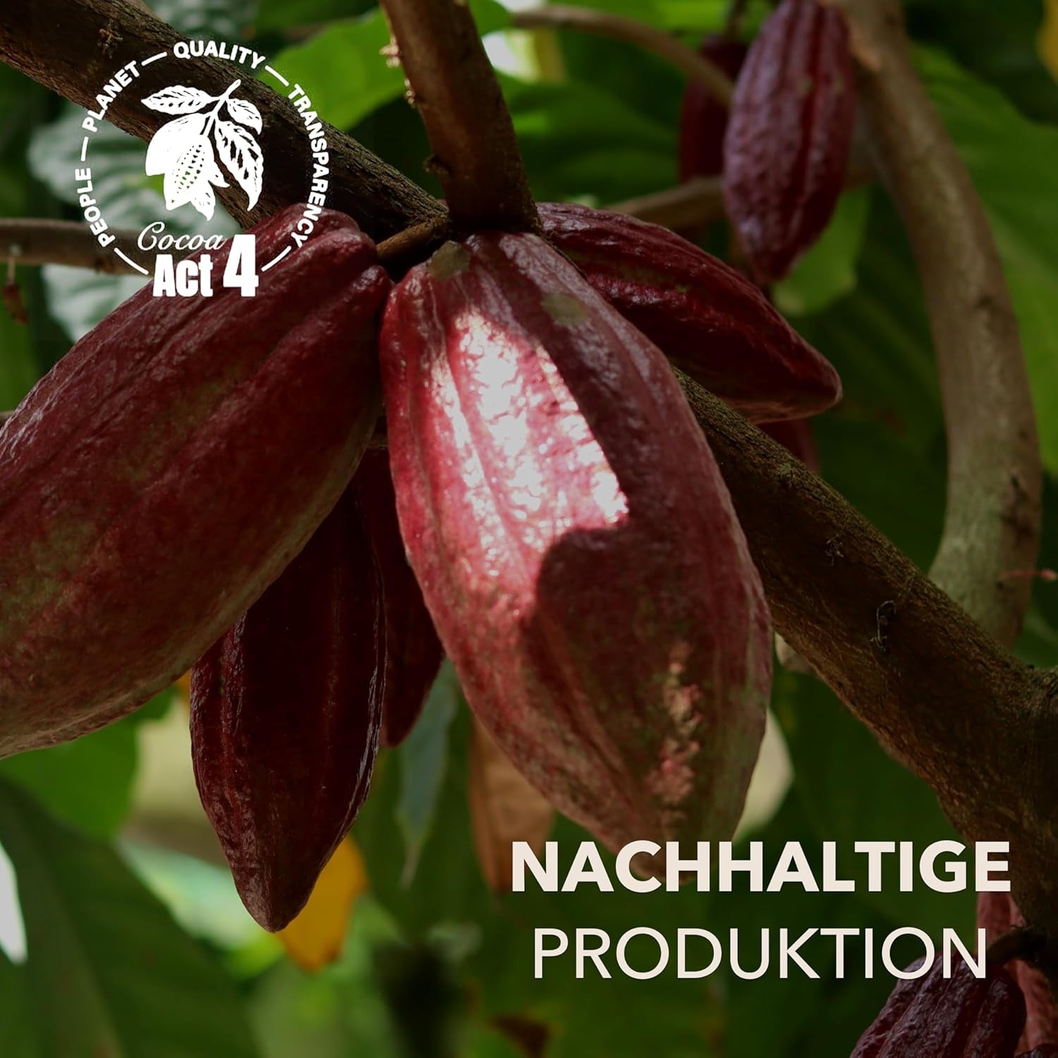 Dolfin Caramel & Ciocolată, fabricat în Belgia, 200 grame Bomboane de Ciocolata Naty Shop