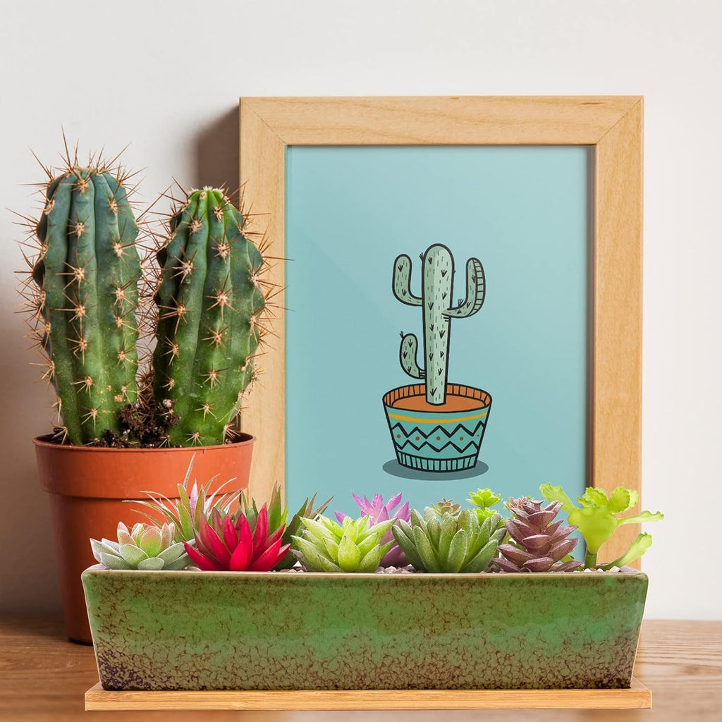 Ghivece ceramice pentru suculente, 30 cm, moderne, lungi, dreptunghiulare, recipient pentru flori cu tavă, cutie plată pentru cactus și bonsai cu drenaj, pentru uz interior și exterior, decorațiuni interioare
