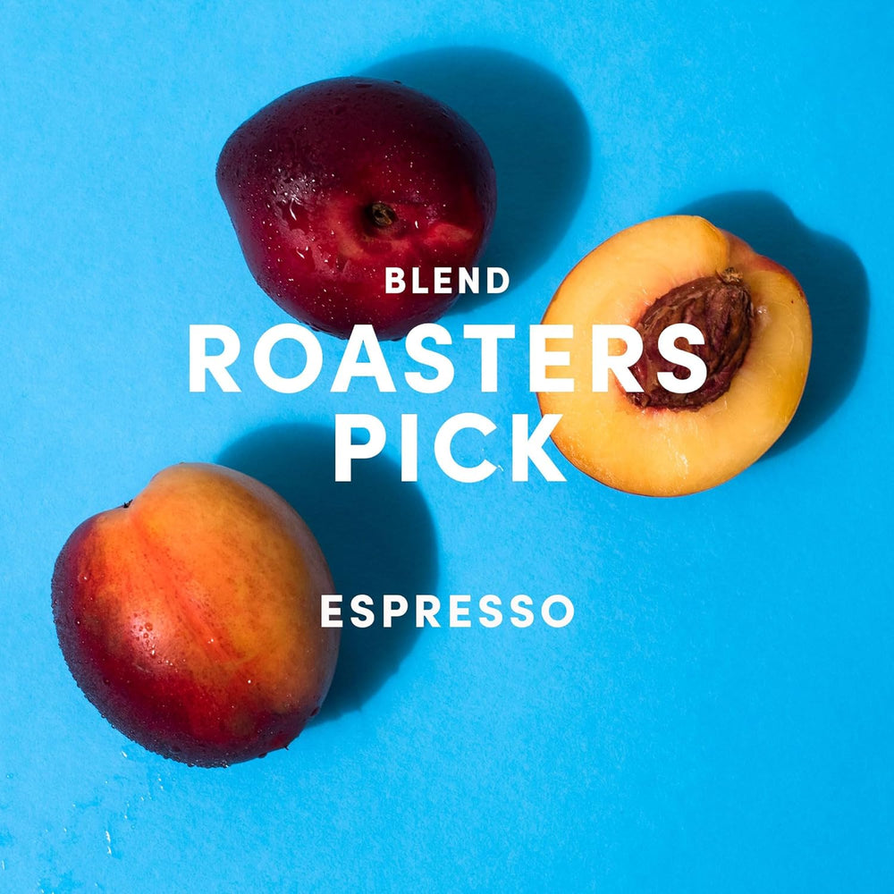 Roasters Pick Espresso Blend - 100 % Arabica, ganze Bohne - vielschichtige Röstung - frisch in Berlin geröstet - 500 g