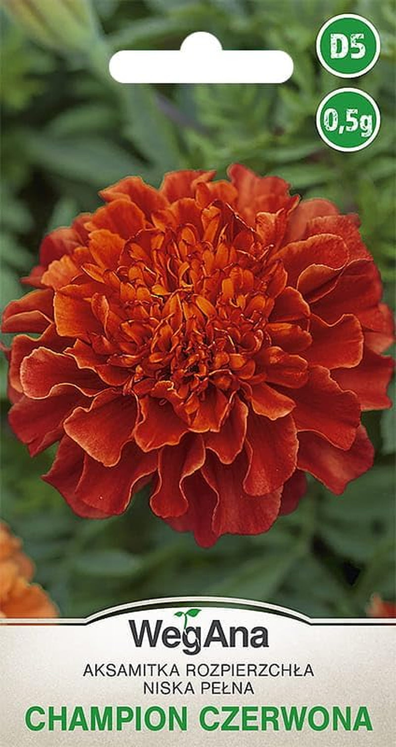 Cosmos Sensation Mix 1g mag, Cosmos Mix Nyári virágok, Kerti növények Erkélynövények, Virágmagok