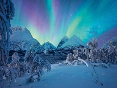 Ravensburger Puzzle 12000802 - Wenn Die Nordlichter Tanzen - 1500 piese puzzle jigsaw pentru adulți cu vârsta de peste 14 ani Puzzle Naty Shop Titlu implicit