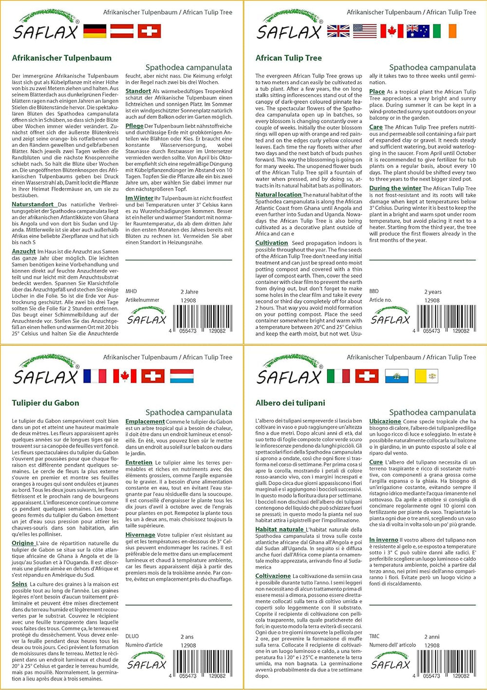 SAFLAX - Afrikanischer Tulpenbaum - 30 Samen - Spathodea Campanulata