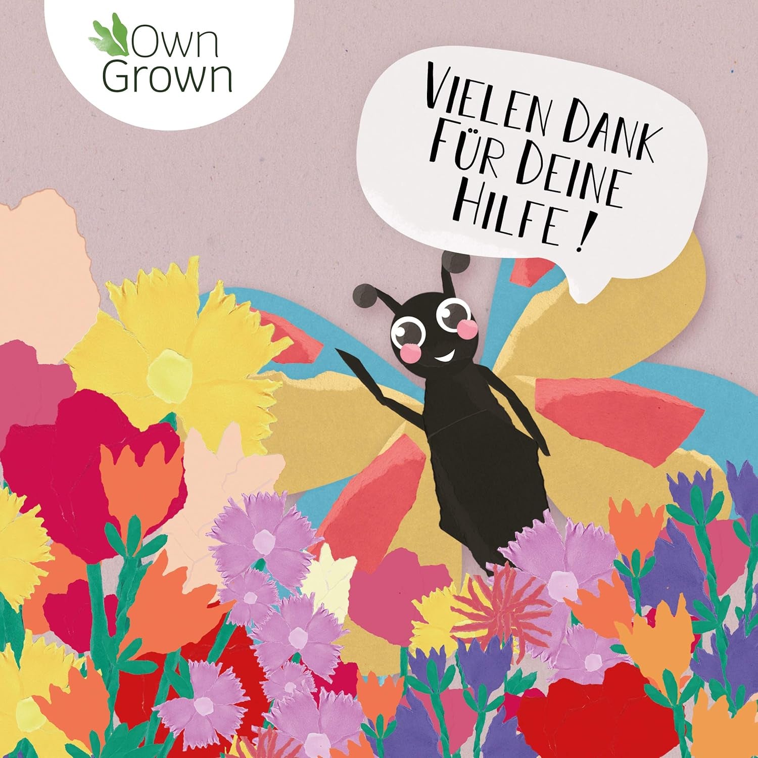 Butterfly Meeting Flower Mix: 100g Premium Butterfly Flower Mags - Rovarbarát méhmagok, évelő és egynyári virágmagok rétekre - Vadvirág magok az OwnGrown-tól