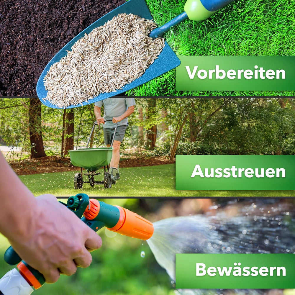 Hesa Sportrasen, 1 Kg Strapazierrasen Für Ca 40 M², Schnellkeimende Premium Rasensamen Für Starke Beanspruchung, Fussballrasen, Sportplatzrasen in Profiqualität, Auch Für Nachsaat