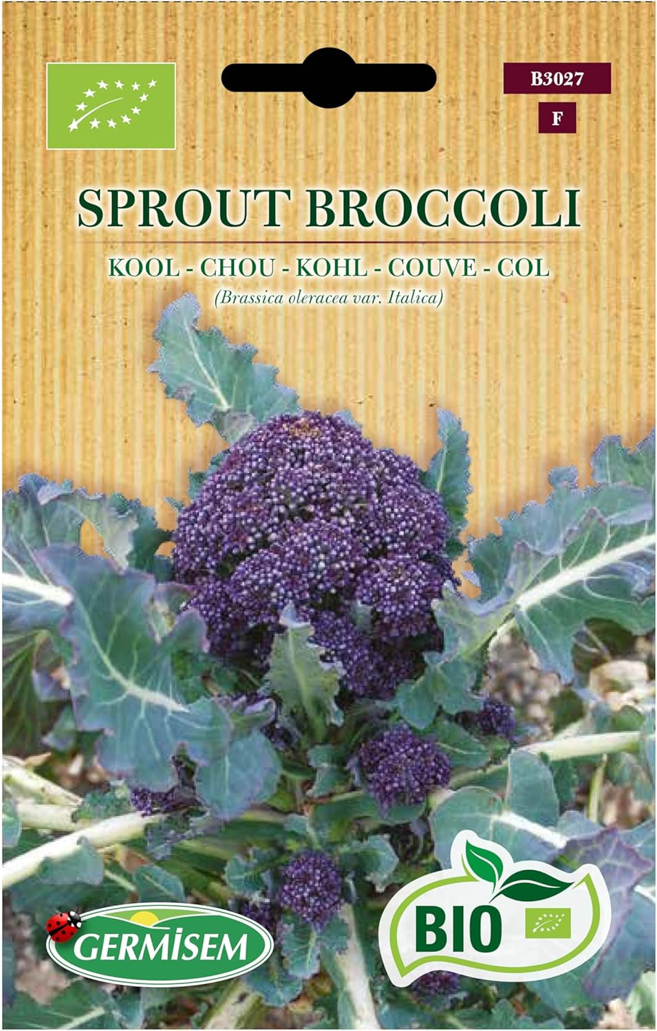 Kohl Sprout Brocccoli