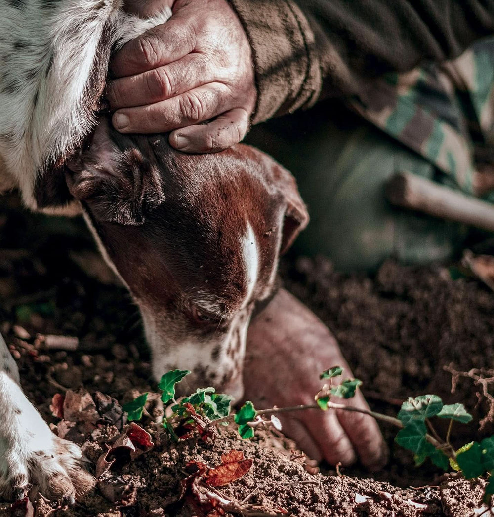 - Fekete szarvasgomba ízkoncentrátum 30 ml, professzionális használatra Arome Naty Shop