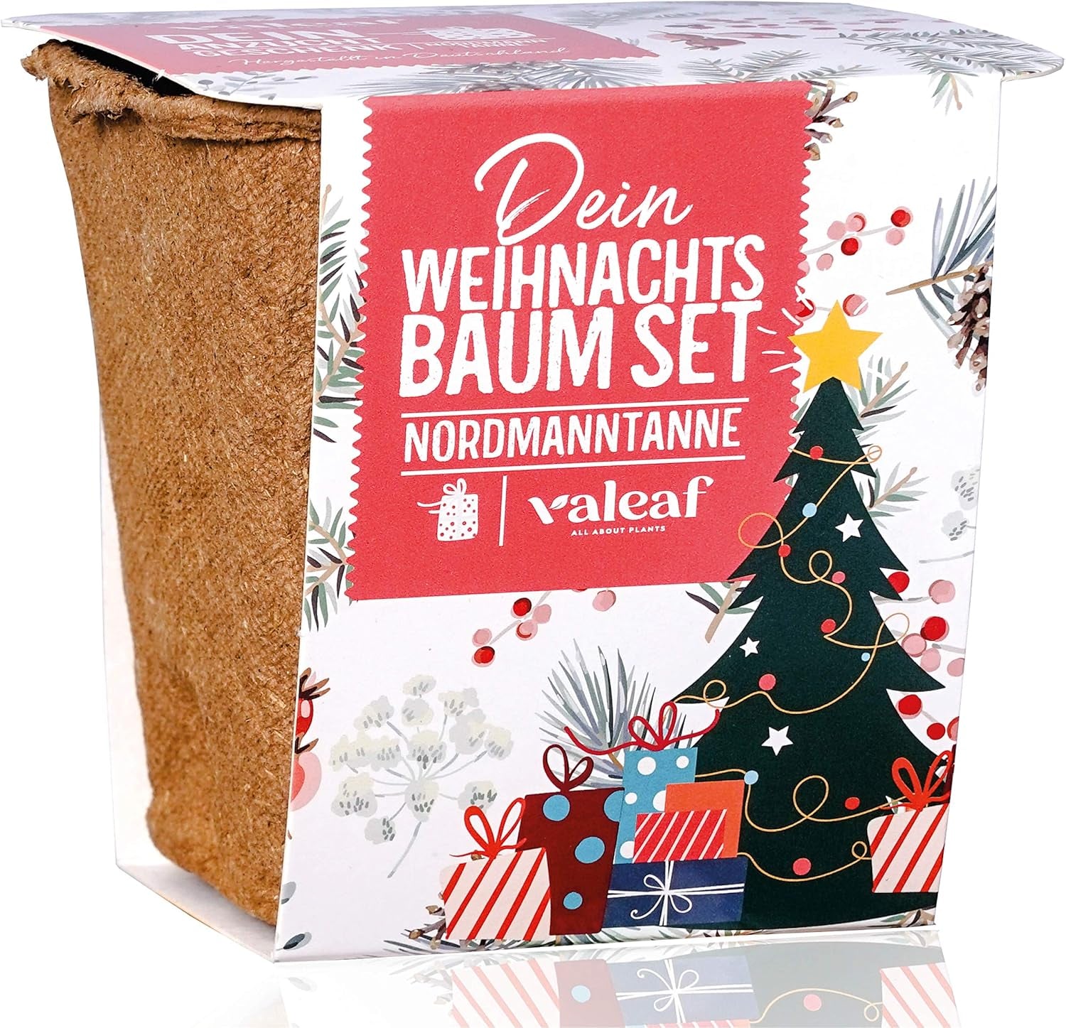 Weihnachtsbaum Anzucht Set I Tolle Geschenk-Idee, Wichtelgeschenke Weihnachten, Nikolausgeschenke Und Garten Geschenke I Weihnachtsbaum Aus Der Dose (Blaufichte 3)