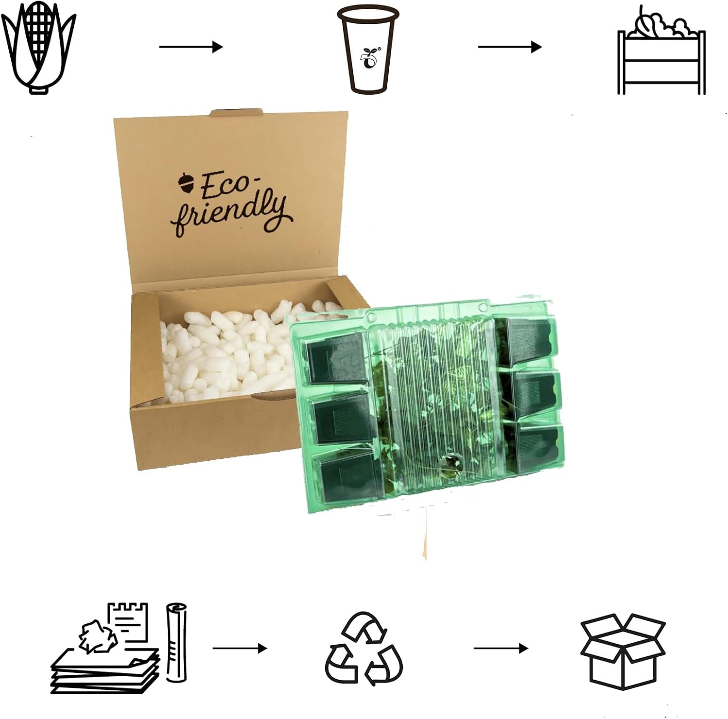 6 x Garten Scheinsonnenhut 'Doubledecker' - Echinacea Purpurea 'Doubledecker' Pot 9x9cm: Doppelte Blüten, einzigartige Optik, zieht Bienen an, ideális für Gärten.