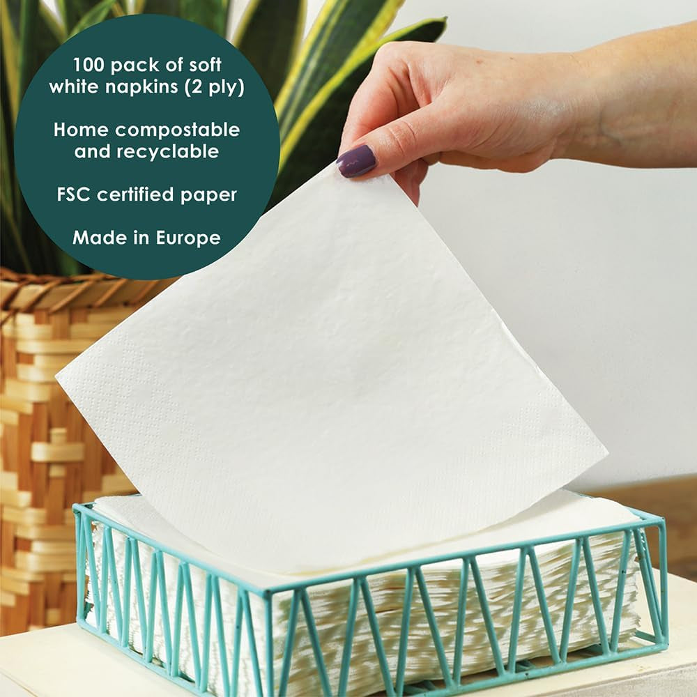 Table Kind 100 șervețele albe moi în pachet vrac, șervețele de înaltă calitate pentru petreceri, catering și uz zilnic, FSC, sustenabile și reciclabile, fabricate în UE | 2Ply | 33Cm