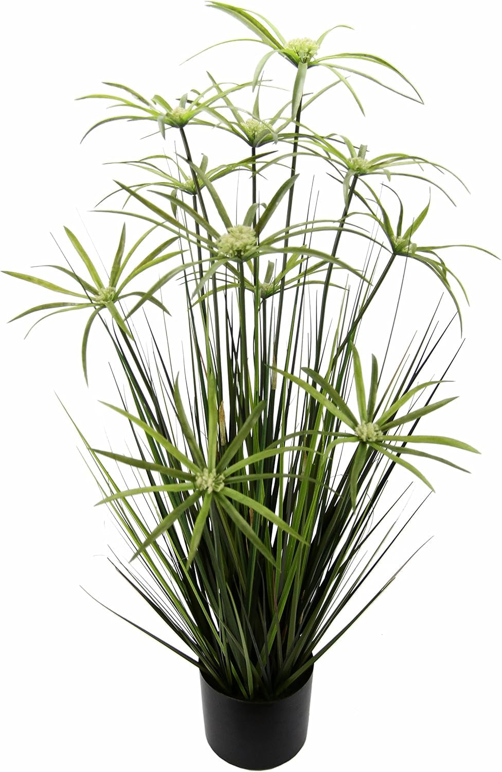Zypern-Gras Im Topf Grasbusch Groß Gras Ziergras Dekopflanze Künstliches Zyperngras Cyperus Topfpflanze Grünpflanze Künstliche Dekopflanze Staude Ufergras Schilf Katzengras