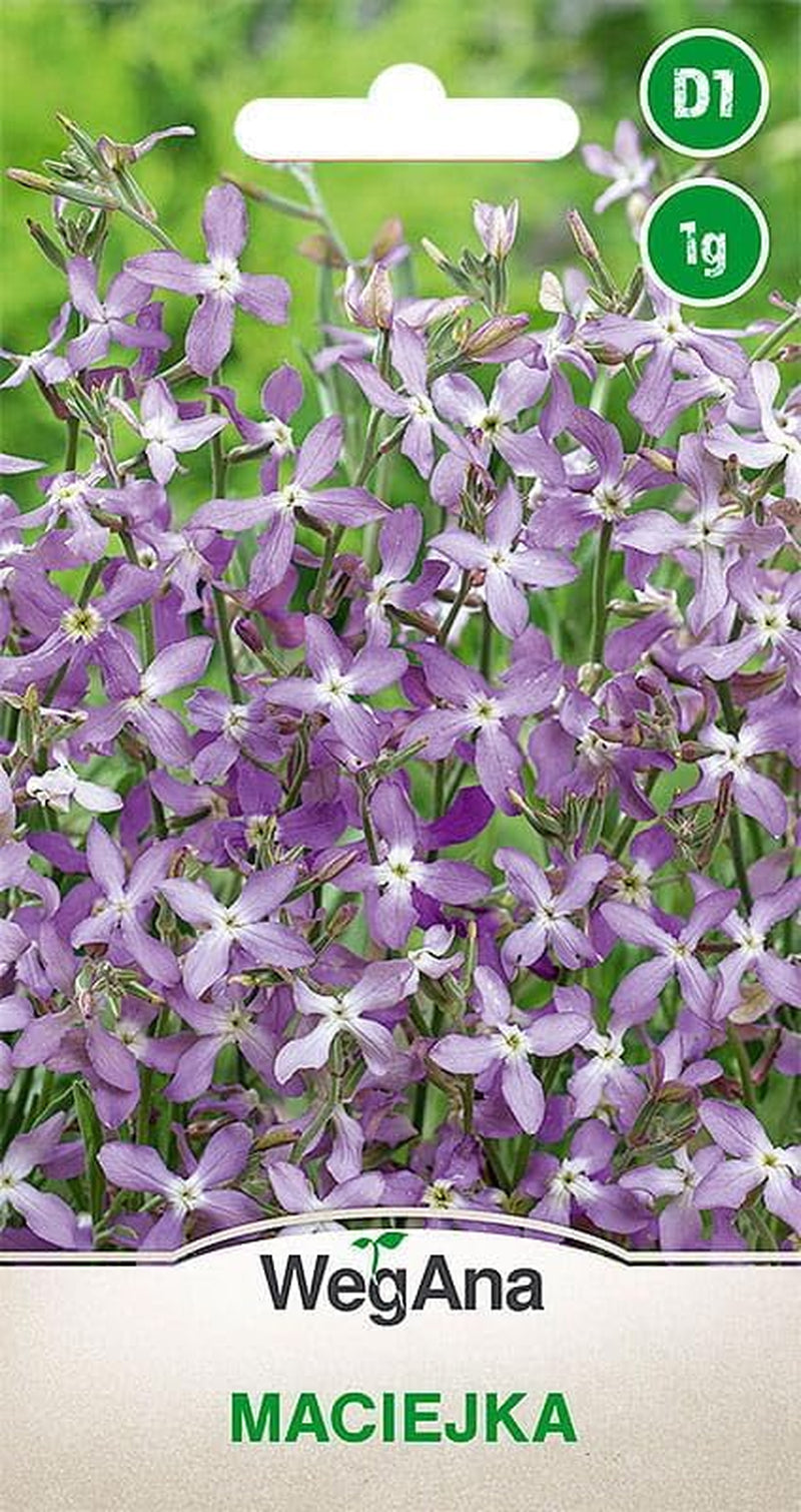 Cosmos Sensation Mix 1g mag, Cosmos Mix Nyári virágok, Kerti növények Erkélynövények, Virágmagok