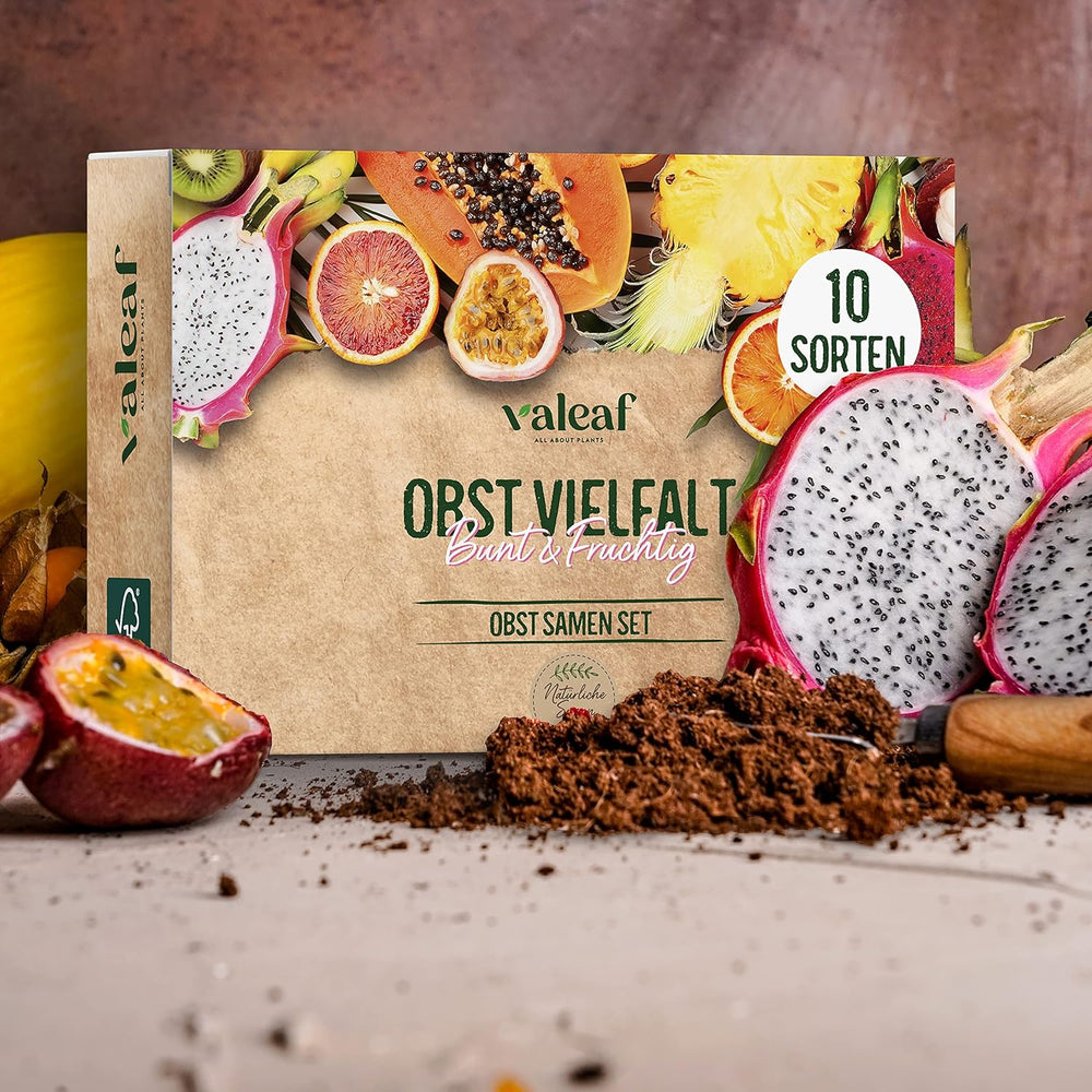 Obst Samen-Set I 10 Sorten Obstsamen I Premium Obst-Saatgut I Pflanzen Kit Inkl. - Erdbeersamen, Melonensamen, Physalis, Drachenfrucht I Pflanzen Saat I Ideales Samen-Set Geschenk