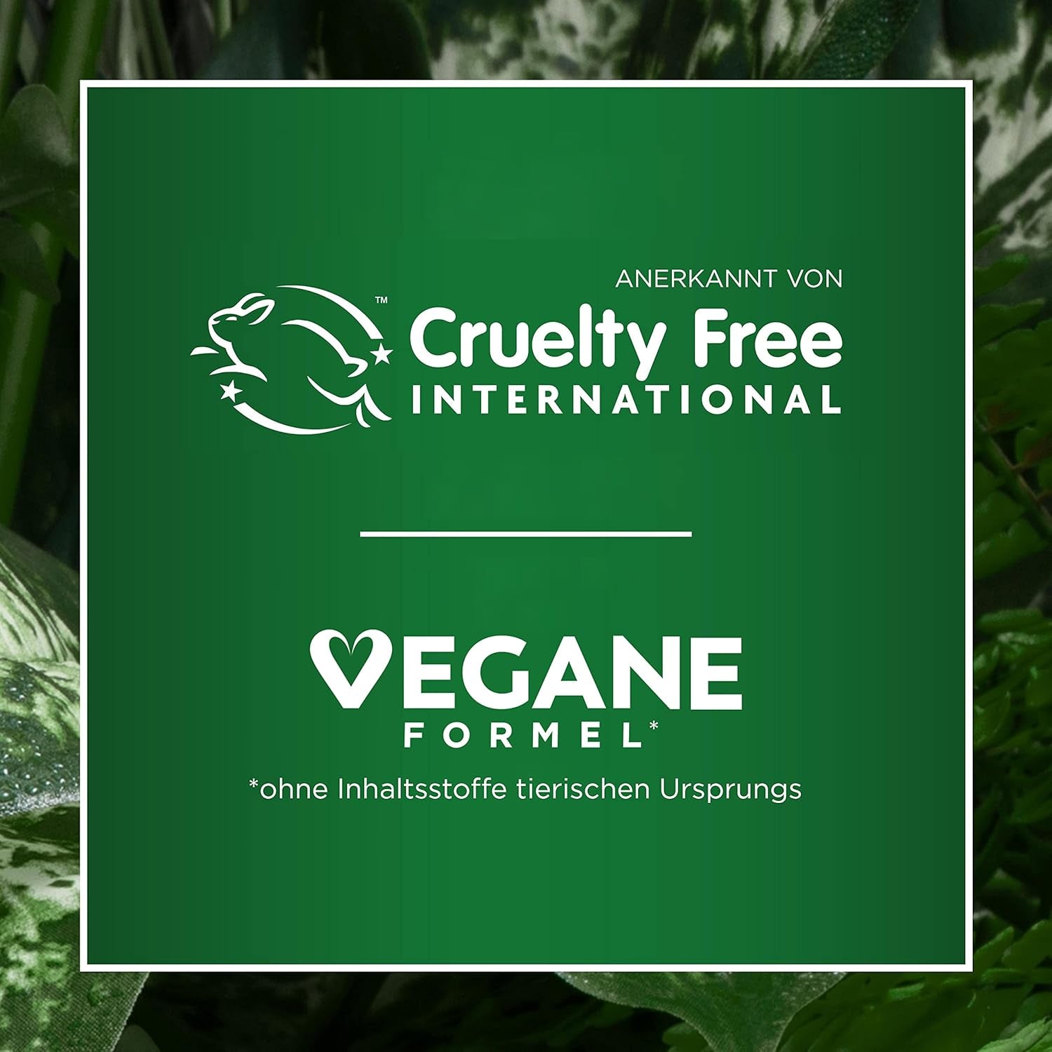 Garnier Nutrisse Permanent Care Hair Colour cu uleiuri hrănitoare din fructe, fixare 8 săptămâni, Ultra Crème Tint, 036 Black Cherry (pachet de 2) Vopsea pentru par Naty Shop