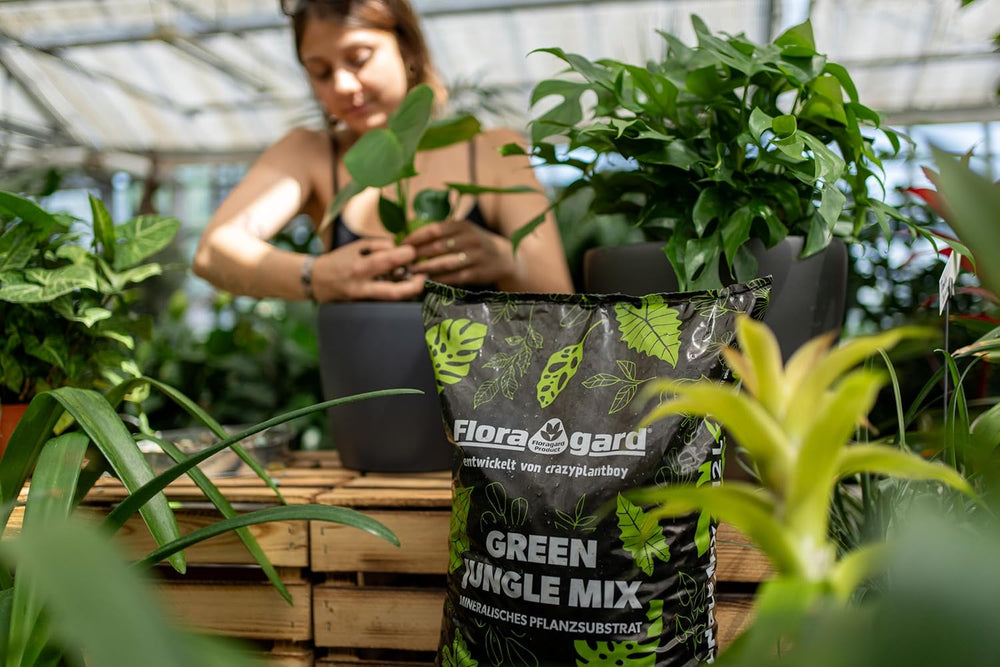 Floragard Green Jungle Mix 6 L - ásványi szubsztrát Monstera, Philodendron ültetéséhez - optimális vízelvezetést és egészséges gyökérnövekedést biztosít - ideális igényes szobanövényekhez
