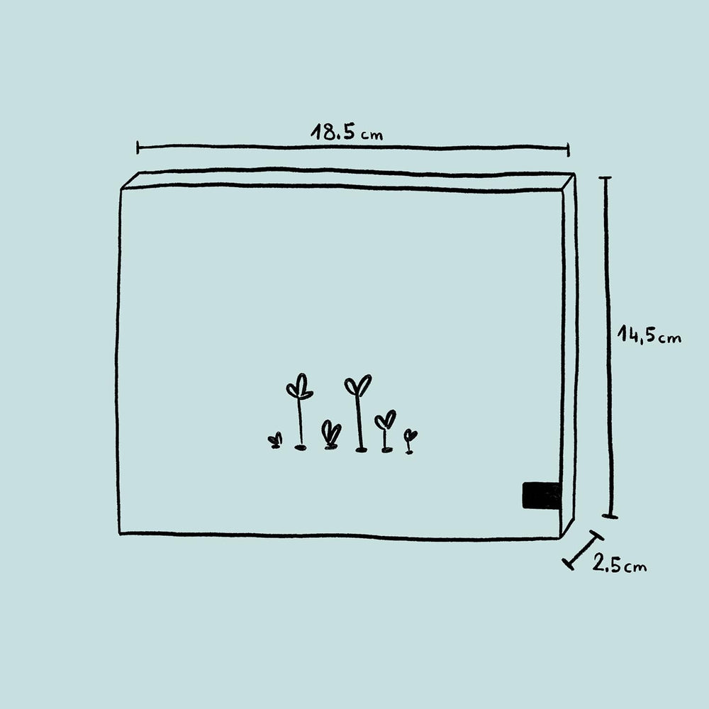 Plante parfumate - set cadou cu semințe și 6 plante cu flori frumos parfumate