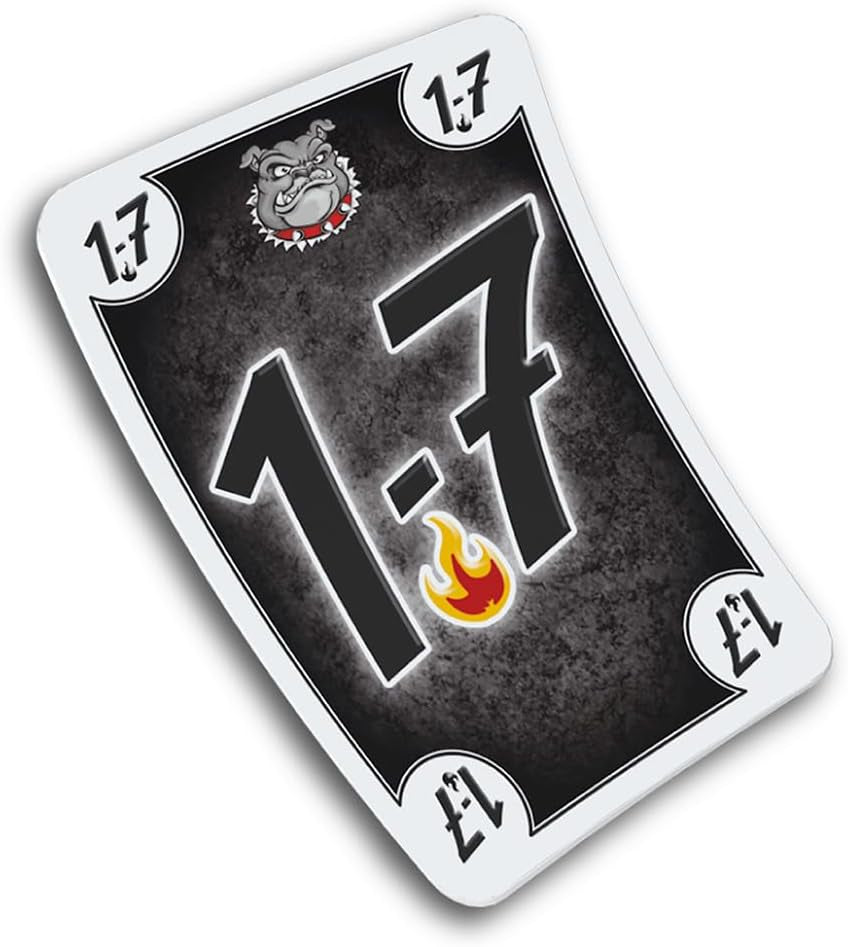 Schmidt Spiele 49323 Black DOG, családi játék