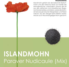 Izlandi mákkeverék (Papaver nudicaule) - Gyönyörű virágzó mák, hosszú virágzási periódussal egy színes virágos réthez (Izlandi mák)