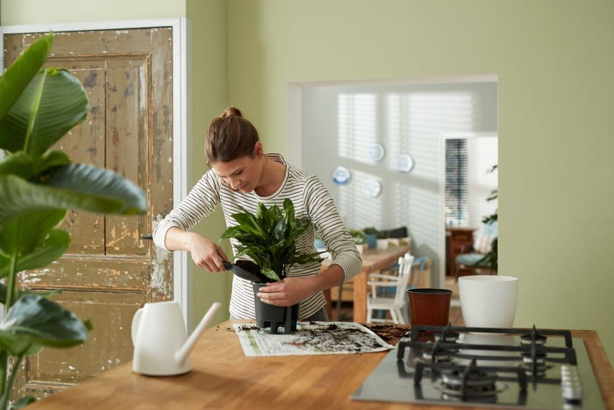 Sistem de auto-udare elho 36 - Accesorii și accesorii de interior - Ø 36,0 x Î 34,5 cm - Negru/Negru viu