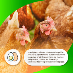 Sermand Nutrition Egg Albumin 100% por, gluténmentes, laktózmentes