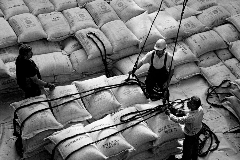 Bristot Buongusto Crema Oro, fasole intreaga, 1kg