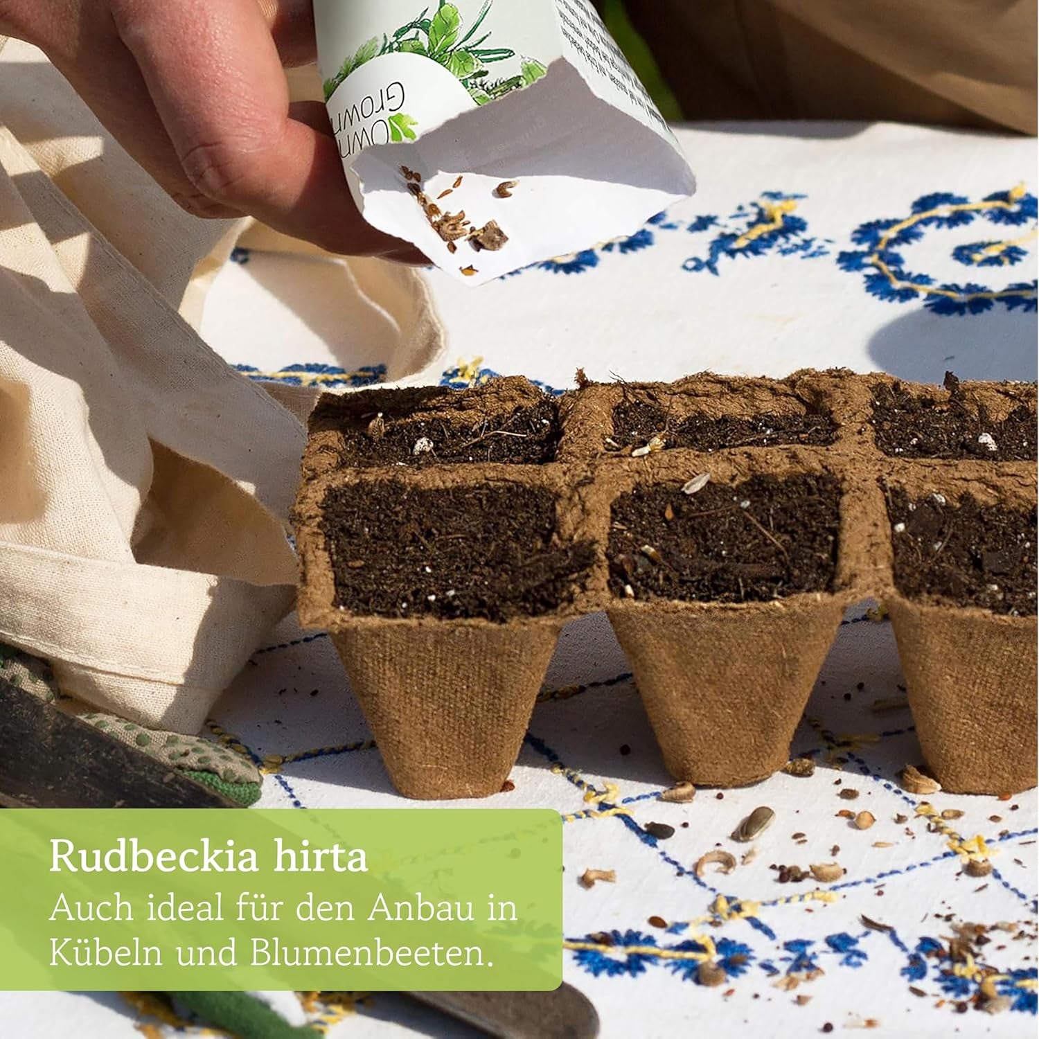 Echinacea magok: Prémium sárga echinacea magok körülbelül 20 virágzó echinacea növényhez – Rudbeckia magok – Hardy Rudbeckia – Echinacea évelők – Hardy évelők, OwnGrown