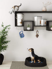 Recipient pentru hrană pentru câini Curver - 2 l Cutii depozitare alimente Naty Shop