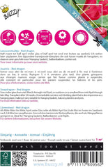 Zúgó hegymászó virágok, vörös sárkány Asarina