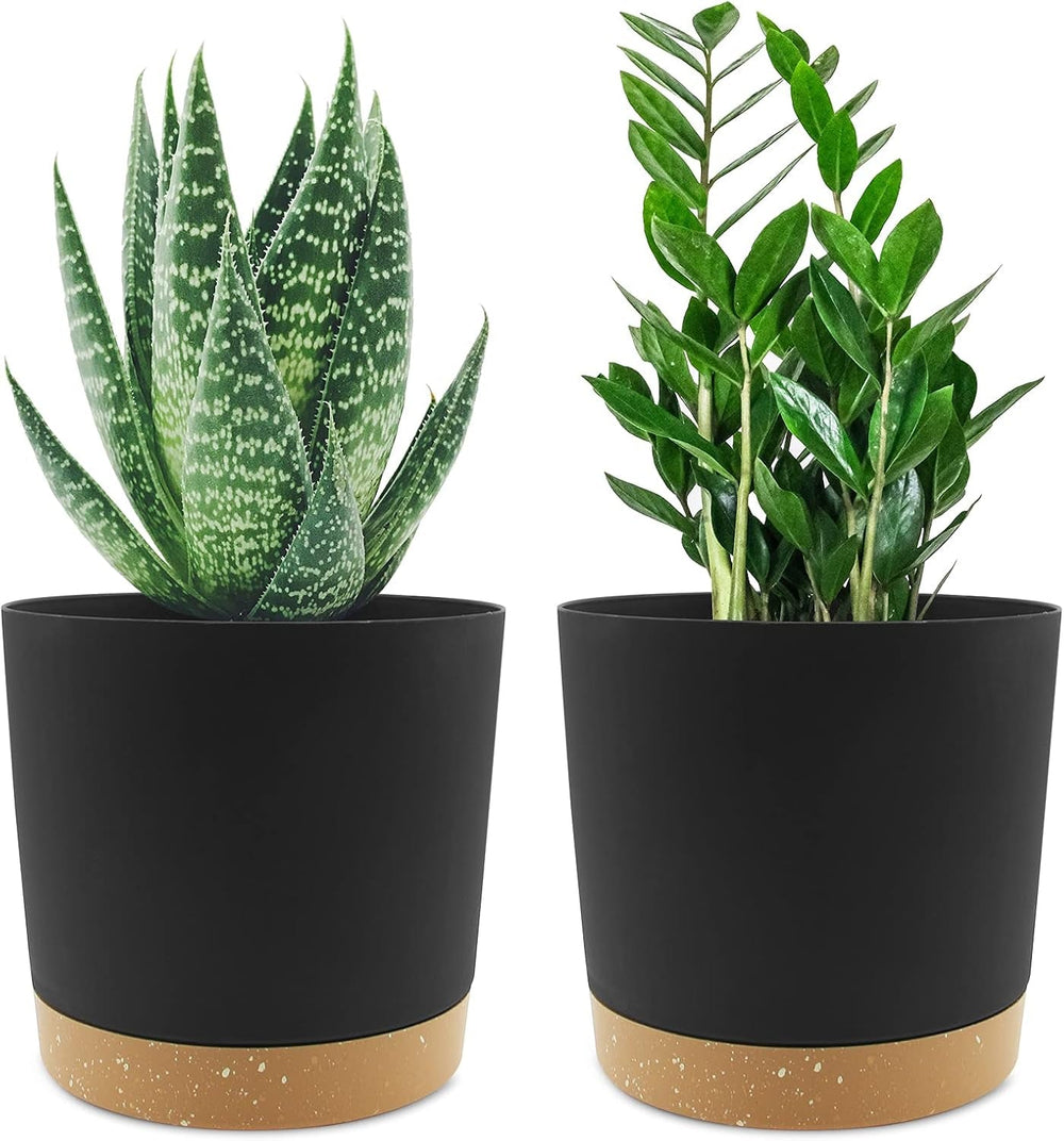 Ghiveci de flori set de 2 12,7 cm, ghivece pentru plante de interior cu găuri de drenaj și bază detașabilă, farfurioare decorative moderne pentru jardiniere de grădină de exterior (alb 12,7 cm)