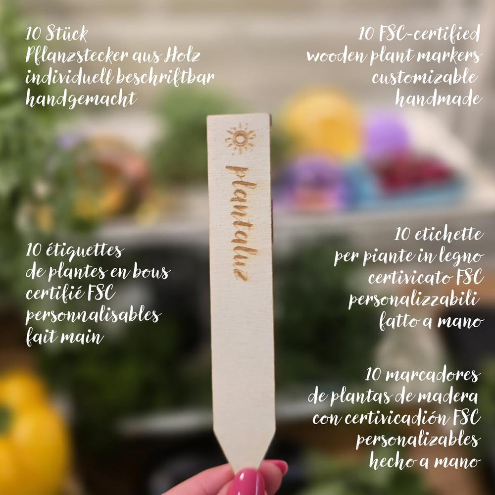 Plantaluz Prémium P03 biomagkészlet – kulináris és gyógynövény magkészlet kerti, erkélyi és beltéri használatra – beleértve. FSC ültetőrudak – mentes beporzott, kezeletlen és GMO-mentes bio magvak