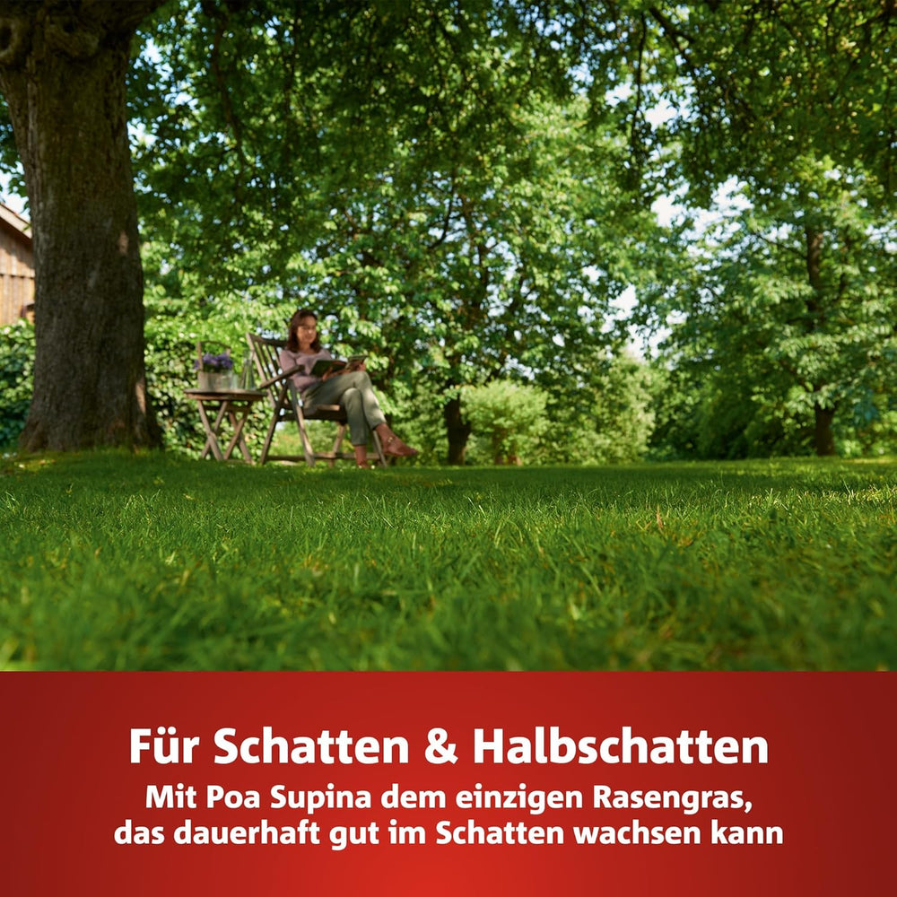 Wolf-Garten Turbo-Nachsaat „SCHATTEN“ Zur Rasensanierung LR-S 50 (Für 50 M², Hohe Dichte Mit Ca. 100.000 Trieben/M², Speziell Auf Schattige Lagen, Mit Wolf-Garten Keimgarantie, Im 1Kg Karton) 3826636