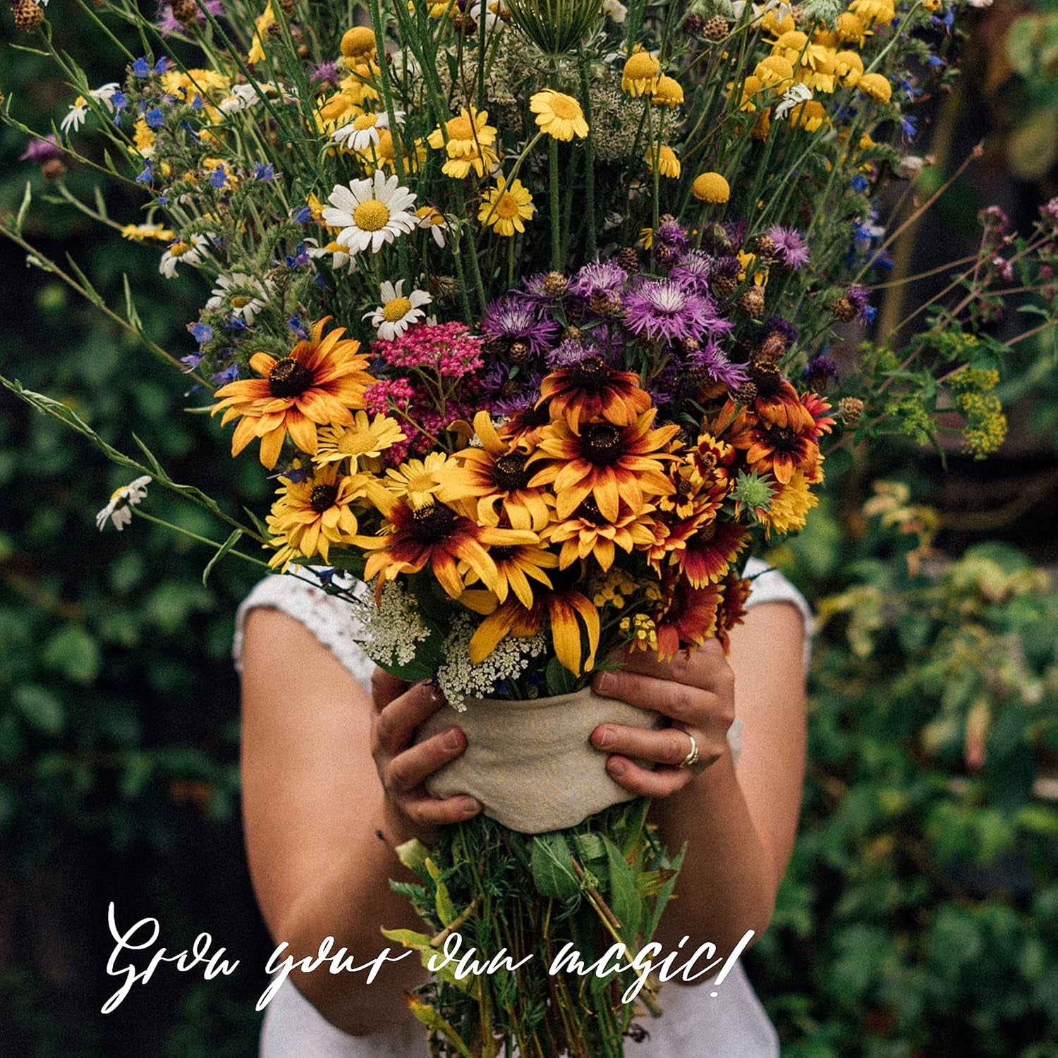 Kedvenc növényeink: Évelők és Nyári Virágok Virágkedvelőknek (Organic) - Magvak ajándékkészlet 6 kedves fajtával egy vad virágrobbanáshoz - boldoggá tesz!