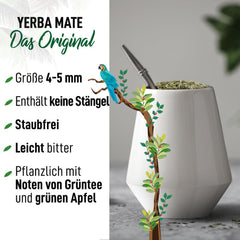 CEAI ORIGEENS BIO YERBA MATE 1 KG - Originalul I Neprăjit, frunze, fără tulpini, praf și firimituri I Băutură energizantă și detoxifiantă