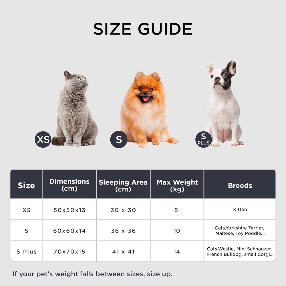 Paturi & Canapele, Pături & Mobilier, Animale de companie, Pisici, Paturi pentru pisici, Pisici - culcusuri, saltele