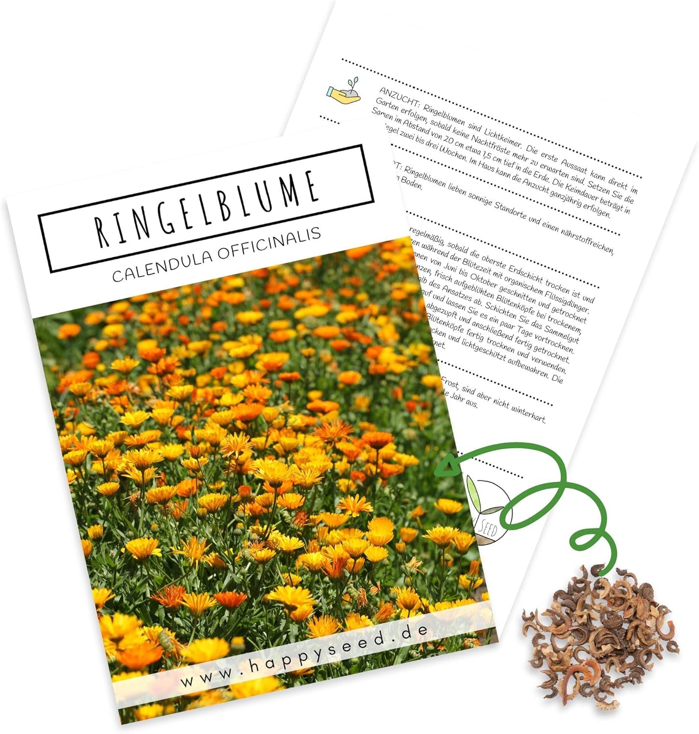 Körömvirágmag (Calendula officinalis) - Sokoldalú gyógynövény ehető virágokkal, ideális színes virágos réthez (Abendrot)