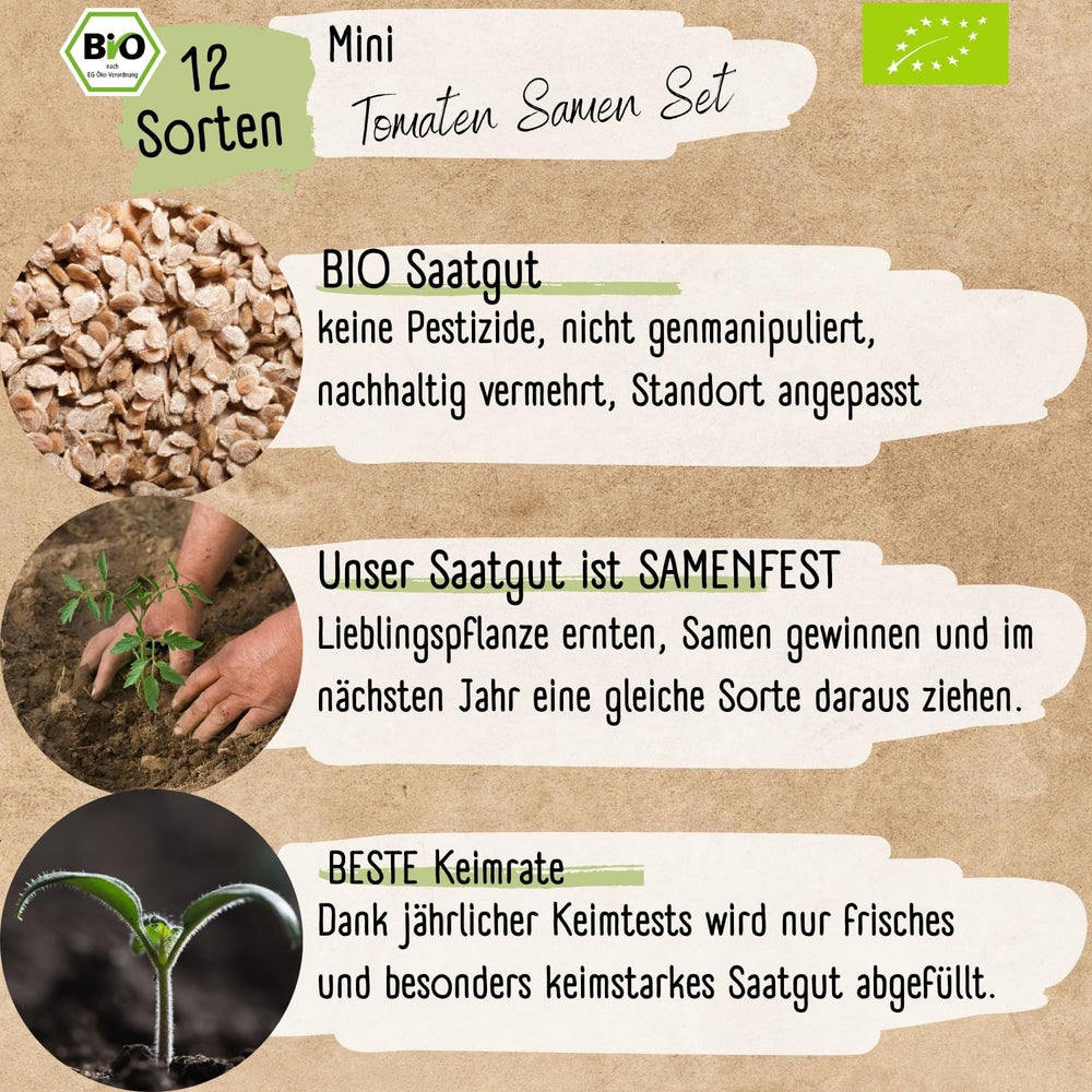 Bio mini paradicsom magkészlet: 12 fajta szabadon termesztett paradicsom | Ritka és családi koktél, cseresznye és marhasteak paradicsommag | Zöldségmagok erkélyre, emelt ágyásra, kertre és ajándékba | Loveplants