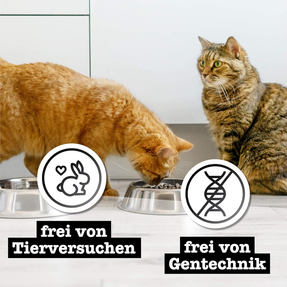 Hrană umedă pentru pisici Catz Finefood Purrrr cu monoproteină și somon nr. 105, pentru pisici cu digestie sensibilă, 16 x 80 g