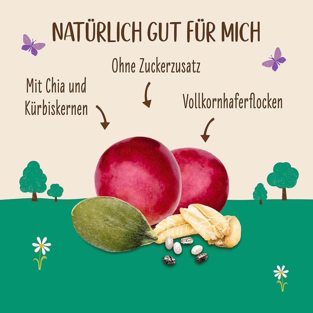 Allos cukrozatlan protein müzli | Bio müzli | Zabpehely | Gabonafélék reggelire | Vegán (5 x 450 g), 1 db (5 db-os csomag)