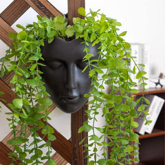 Jardinieră Notakia cu față, montată pe perete, pentru uz interior și exterior, cu drenaj, pentru suculente, cactuși și plante mici, decorațiune unică pentru casă, cadou pentru prieteni și familie