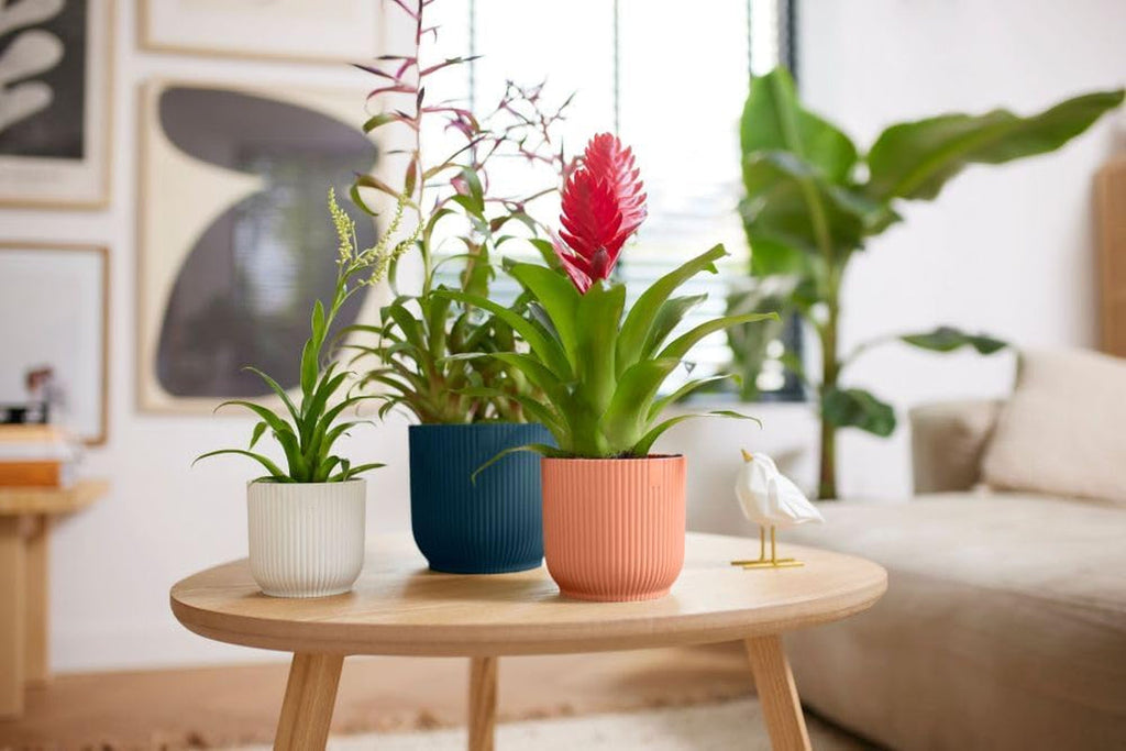 Ghiveci elho Vibes Fold Round Mini 9 - Ghiveci de flori de interior - 100% plastic reciclat - Ø 9,3 x H 8,8 cm - Alb/Alb mătăsos