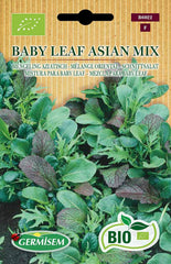 Schnittsalat BABY LEAF ASIAN MIX, ECBIO6022