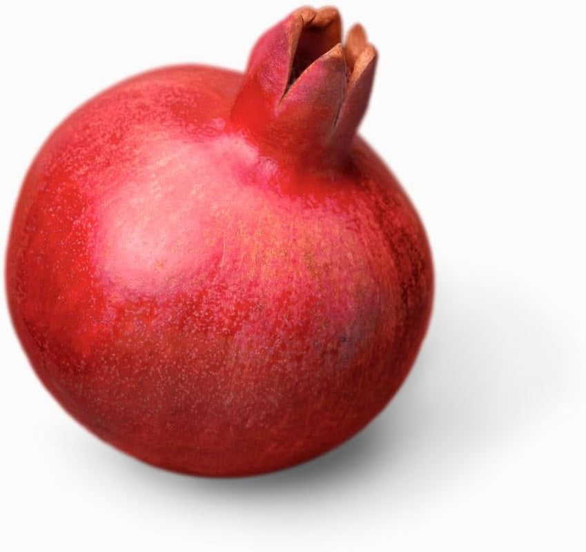 Granatapfel 116/17 - Obstpflanze Auf Blumentopf 20 - Baum Max 170 Cm – 2 Jahre Anbau Italien