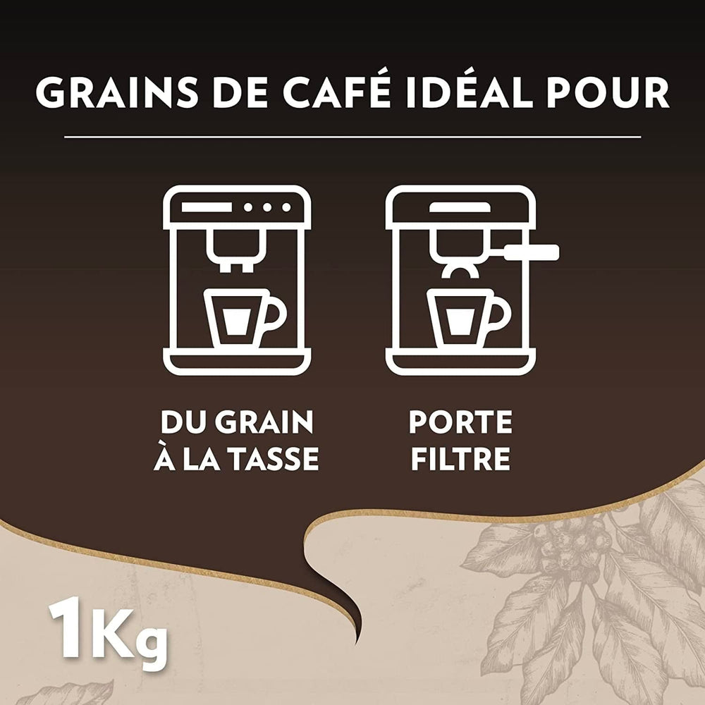 LAVAZZA - Espresso Barista Perfetto - Boabe de cafea - 100% Arabica - Italiană - Intensitate 6 - 2 pachete a câte 1 kg fiecare (ambalajul poate varia)