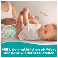 Pampers 99%-os vizes babatörlő, 12 csomag, egyenként 60 darabos törlőkendő = 720 babatörlő, könnyű lotion 99%-os víz